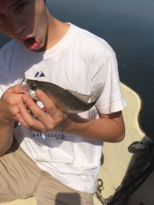 A crappy from the crappy bush!